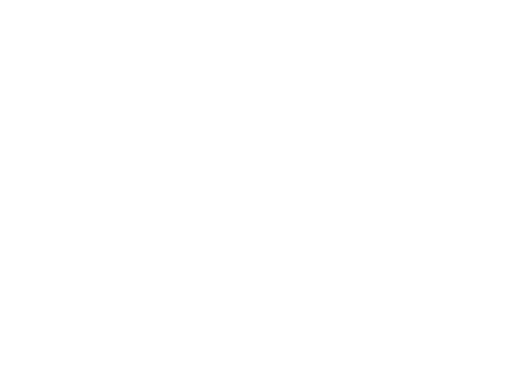 Omega 1 Security